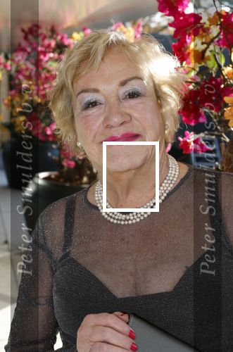 Den Haag 12 december 2022
Society Lunch in het crown Plaza hotel.
Viola Holt met haar nieuwe kapsel