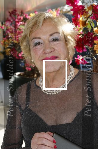 Den Haag 12 december 2022
Society Lunch in het crown Plaza hotel.
Viola Holt met haar nieuwe kapsel