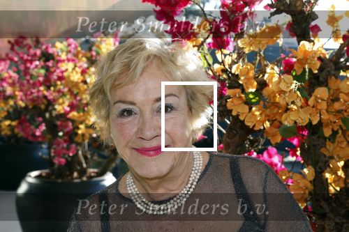 Den Haag 12 december 2022
Society Lunch in het crown Plaza hotel.
Viola Holt met haar nieuwe kapsel