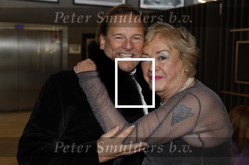 Den Haag 12 december 2022
Society Lunch in het crown Plaza hotel.
Viola Holt met haar nieuwe kapsel