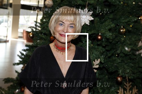 Den Haag 12 december 2022
Society Lunch in het crown Plaza hotel.
Vivian Boelen