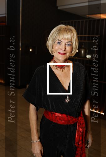 Den Haag 12 december 2022
Society Lunch in het crown Plaza hotel.
Vivian Boelen