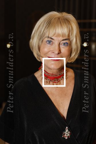 Den Haag 12 december 2022
Society Lunch in het crown Plaza hotel.
Vivian Boelen