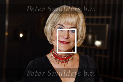Den Haag 12 december 2022
Society Lunch in het crown Plaza hotel.
Vivian Boelen