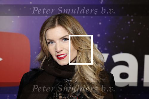 Amsterdam 13 december 2022
YouTube event in Tuschinski.