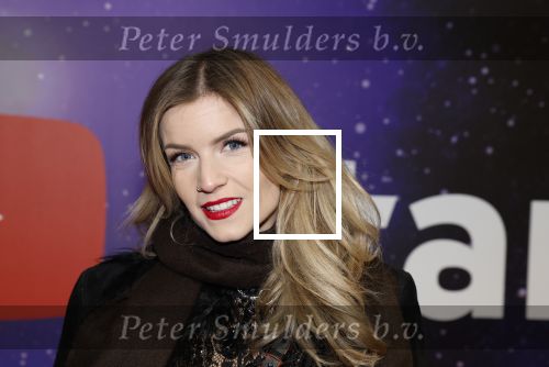 Amsterdam 13 december 2022
YouTube event in Tuschinski.