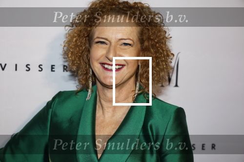 Amsterdam 6 november 2023
Premiere docu Mart Visser gemaakt door Marius Looijmans . De premiere was in het DeLamar theater. Anita Willemars