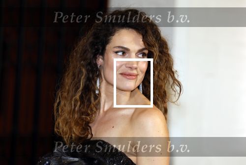 Amsterdam 15 november 2023
Harpers Bazaar woman of the year in het Stedelijk Museum . Anna Drijver