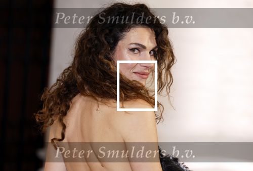 Amsterdam 15 november 2023
Harpers Bazaar woman of the year in het Stedelijk Museum . Anna Drijver