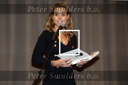 Amsterdam 20 november 2023
Presentatie boek Dag EEN in hotel 27 in Amsterdam.
Eigenaar van dag een zijn Patrick Janssen en zijn vrouw Babette Janssen