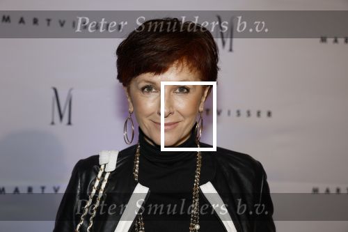 Amsterdam 6 november 2023
Premiere docu Mart Visser gemaakt door Marius Looijmans . De premiere was in het DeLamar theater. Chazia Mourali