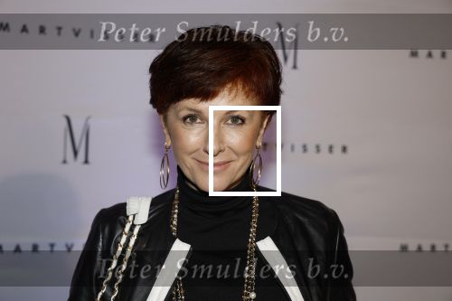 Amsterdam 6 november 2023
Premiere docu Mart Visser gemaakt door Marius Looijmans . De premiere was in het DeLamar theater. Chazia Mourali