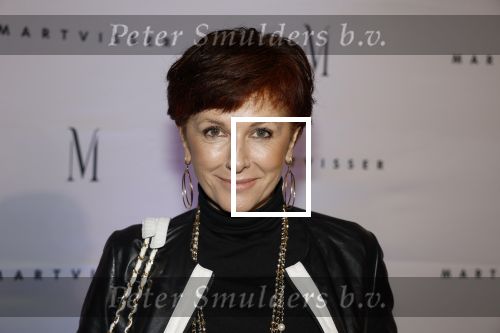 Amsterdam 6 november 2023
Premiere docu Mart Visser gemaakt door Marius Looijmans . De premiere was in het DeLamar theater. Chazia Mourali