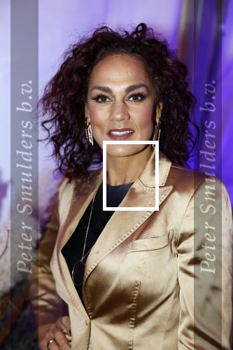 Putten 30 november 2023
Boekpresentatie van Marianne Timmer.
Chimene v Oosterhout
