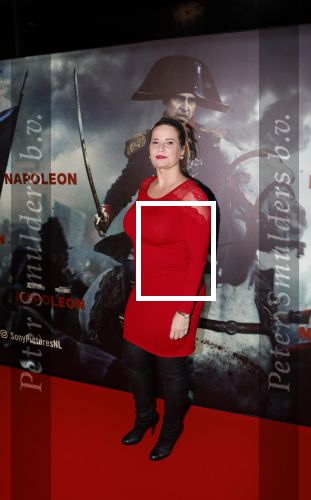 Amsterdam 21 november 2023
Premiere Napoleon in Pathe Arena.
Robert Schoemacher en Claudia Schoemacher