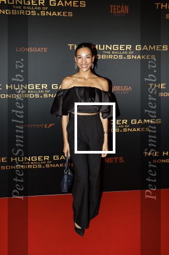 Amsterdam 14 november 2023
Premiere the hungar games . Danique Graanoogst
