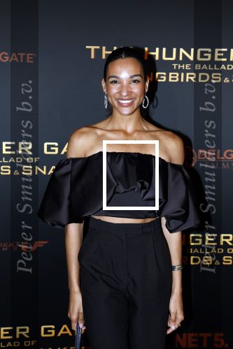 Amsterdam 14 november 2023
Premiere the hungar games . Danique Graanoogst