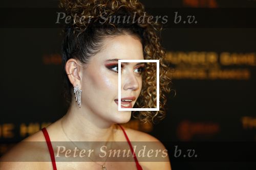 Amsterdam 14 november 2023
Premiere the hungar games .