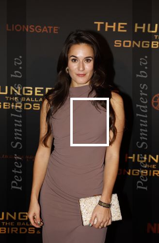 Amsterdam 14 november 2023
Premiere the hungar games . Esmee Dekker