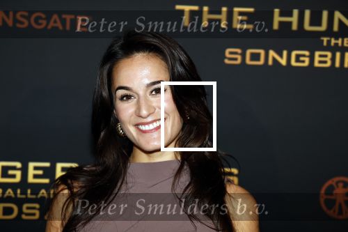 Amsterdam 14 november 2023
Premiere the hungar games . Esmee Dekker