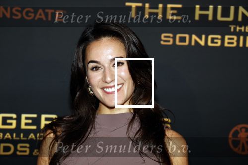 Amsterdam 14 november 2023
Premiere the hungar games . Esmee Dekker
