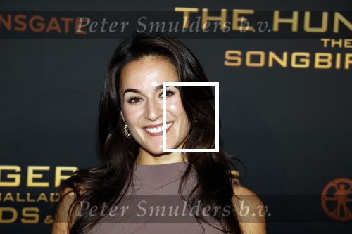 Amsterdam 14 november 2023
Premiere the hungar games . Esmee Dekker