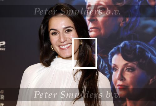 Zaandam 26 november 2023
Premiere van murder on the orient ezpress in het zaantheater. Esmee Dekker