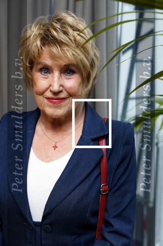 Amsterdam 22 november 2023
CD presentatie Liesbeth List in het Ramses Shaffy huis. Jenny Arean