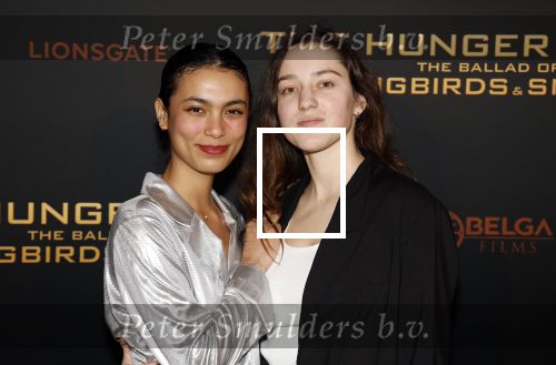 Amsterdam 14 november 2023
Premiere the hungar games . Julia Tan met partner