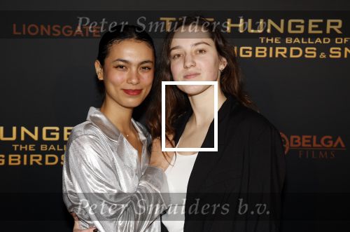 Amsterdam 14 november 2023
Premiere the hungar games . Julia Tan met partner