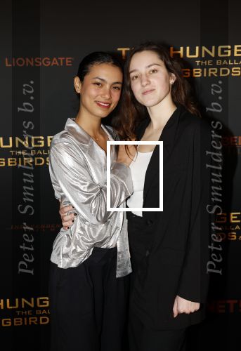 Amsterdam 14 november 2023
Premiere the hungar games . Julia Tan met partner