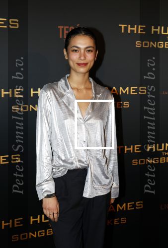 Amsterdam 14 november 2023
Premiere the hungar games . Julia Tan met partner