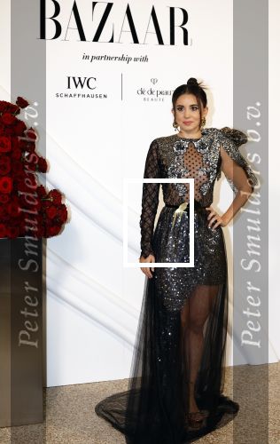 Amsterdam 15 november 2023
Harpers Bazaar woman of the year in het Stedelijk Museum . Karsu