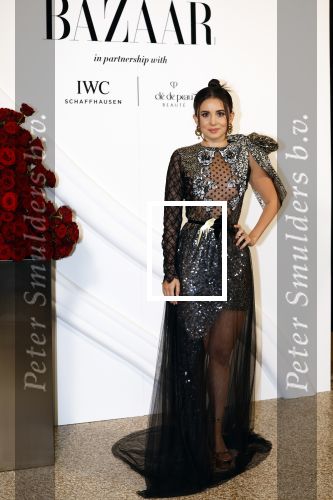 Amsterdam 15 november 2023
Harpers Bazaar woman of the year in het Stedelijk Museum . Karsu