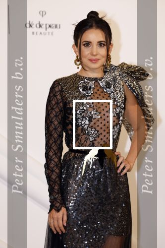Amsterdam 15 november 2023
Harpers Bazaar woman of the year in het Stedelijk Museum . Karsu