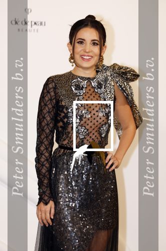 Amsterdam 15 november 2023
Harpers Bazaar woman of the year in het Stedelijk Museum . Karsu