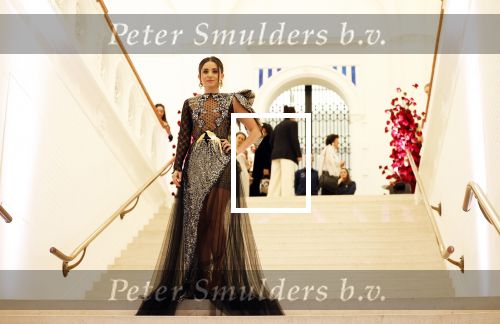 Amsterdam 15 november 2023
Harpers Bazaar woman of the year in het Stedelijk Museum . Karsu