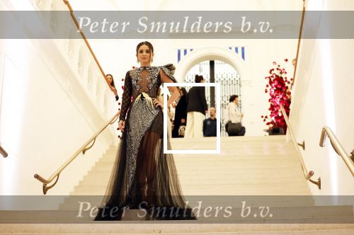Amsterdam 15 november 2023
Harpers Bazaar woman of the year in het Stedelijk Museum . Karsu