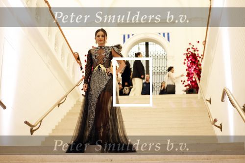 Amsterdam 15 november 2023
Harpers Bazaar woman of the year in het Stedelijk Museum . Karsu