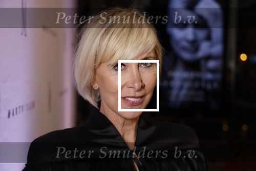 Amsterdam 6 november 2023
Premiere docu Mart Visser gemaakt door Marius Looijmans . De premiere was in het DeLamar theater. Monique des Bouvrie