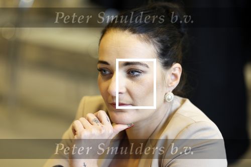 Utrecht 9 november 2023
Rechtszaak Peter Gillis tegen Nicole Kremers bij de rechtbank in Utrecht . Wendy v Hout en Marc Gillis waren ook aanwezig . Danny Snijders is de advocaat van Peter Gillis.