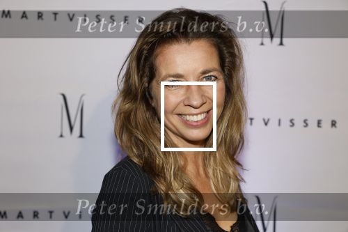 Amsterdam 6 november 2023
Premiere docu Mart Visser gemaakt door Marius Looijmans . De premiere was in het DeLamar theater. Pauline de Wilde