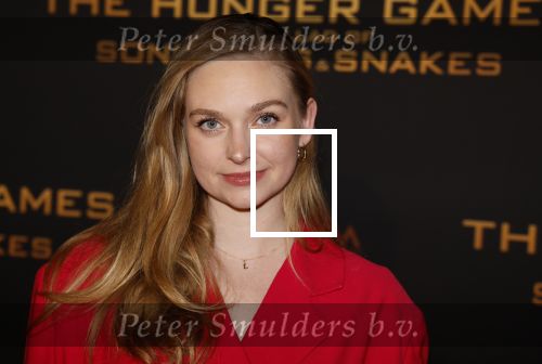 Amsterdam 14 november 2023
Premiere the hungar games . Pip Pellens