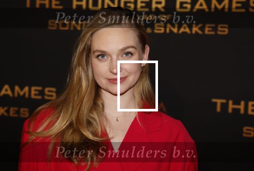 Amsterdam 14 november 2023
Premiere the hungar games . Pip Pellens
