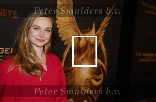 Amsterdam 14 november 2023
Premiere the hungar games . Pip Pellens