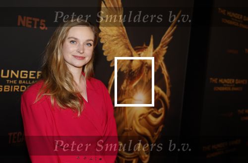 Amsterdam 14 november 2023
Premiere the hungar games . Pip Pellens