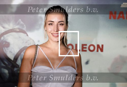 Amsterdam 21 november 2023
Premiere Napoleon in Pathe Arena.