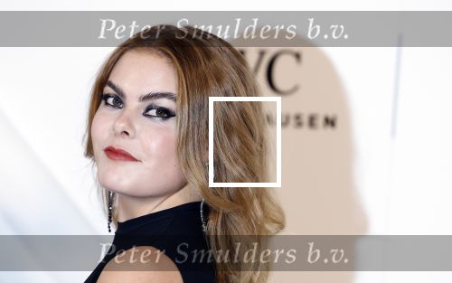 Amsterdam 15 november 2023
Harpers Bazaar woman of the year in het Stedelijk Museum . Prinses Laurentien kwam met haar dochter Prinses Eloise