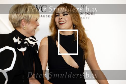 Amsterdam 15 november 2023
Harpers Bazaar woman of the year in het Stedelijk Museum . Prinses Laurentien kwam met haar dochter Prinses Eloise