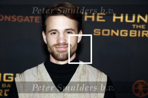 Amsterdam 14 november 2023
Premiere the hungar games . 
Rein v Duivenboden